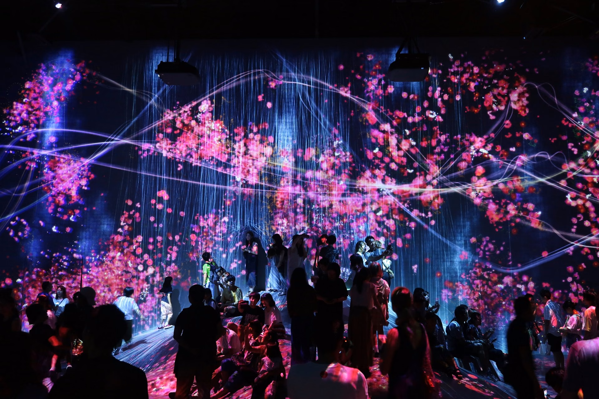 Creative Uses for Video Wall Displays in Holiday Windows